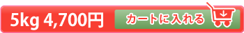 浅間白桃5kg