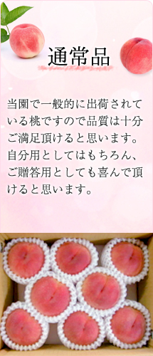 通常品 当園で一般的に出荷されている桃ですので品質は十分ご満足いただけると思います。自分用としてはもちろん、ご贈答用としても喜んでいただけると思います。