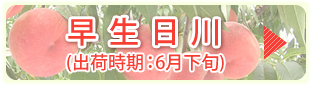 早生日川