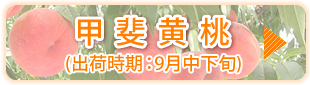甲斐白桃