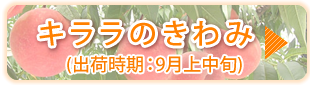 キララのきわみ