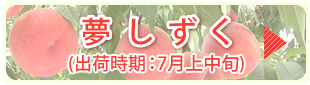 夢しずく