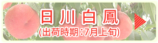 日川白鳳
