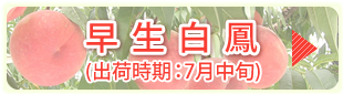 早生白鳳