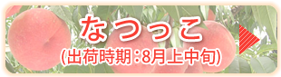 なつっこ