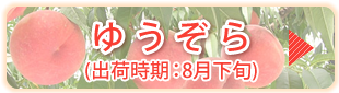 ゆうぞら
