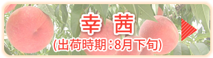 幸茜