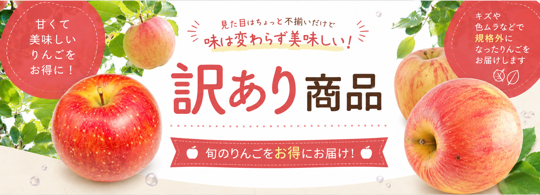 訳あり商品